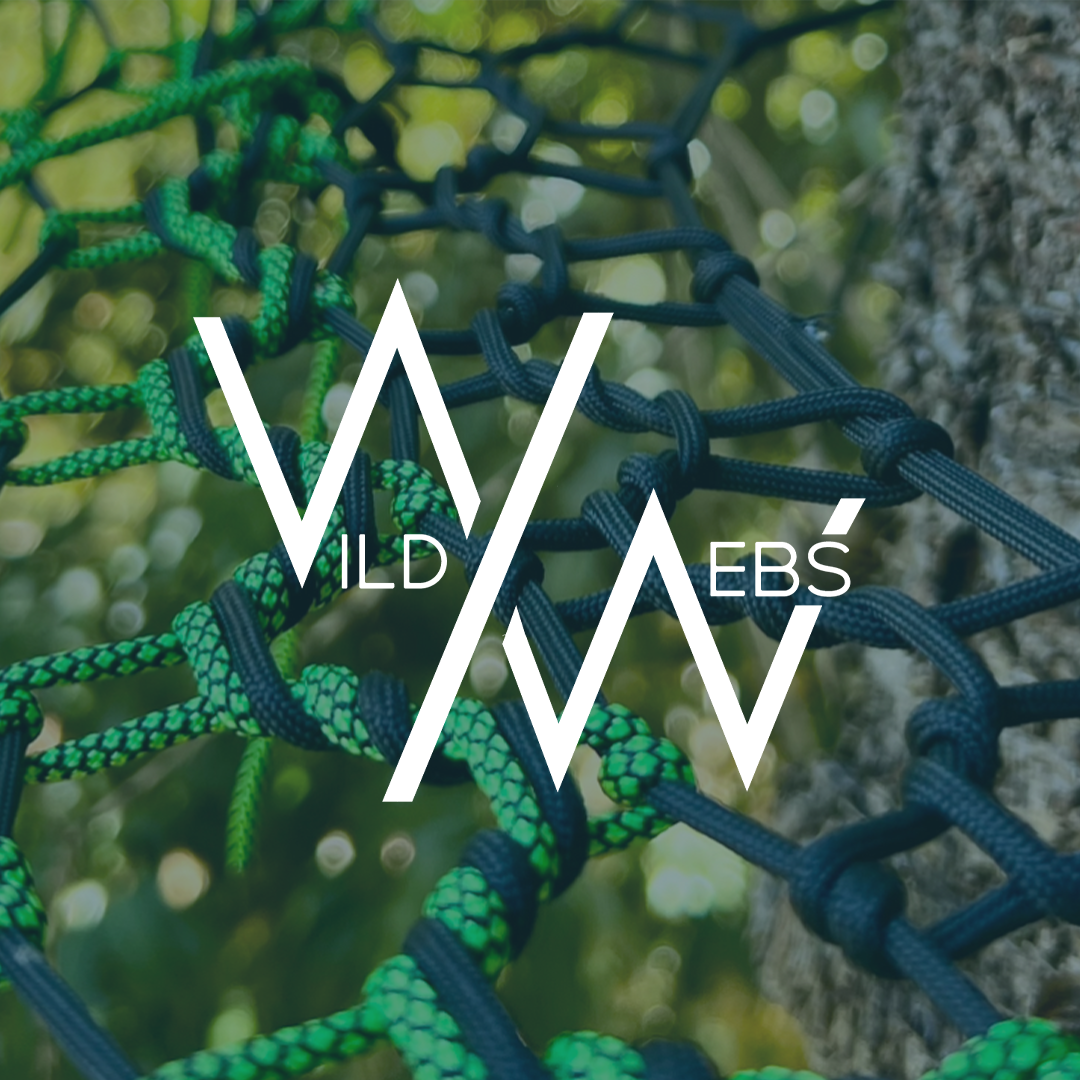 Client Website! Check Out Wild Webs