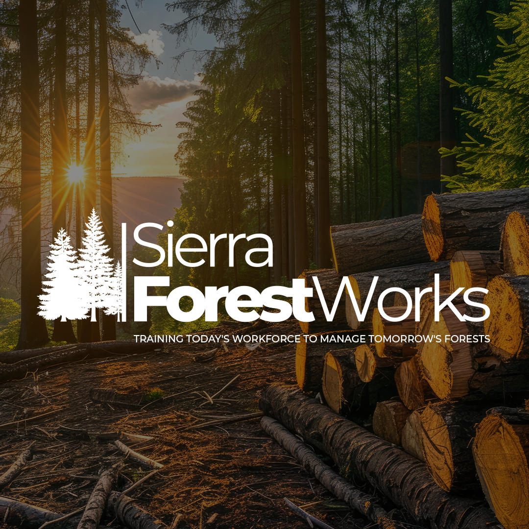 Client Website! Check Out Sierra ForestWorks!